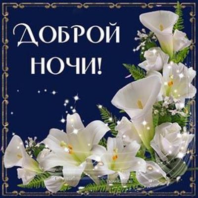 Открытка «Доброй ночи»: Доброй ночи: Изысканный букет белых лилий.
