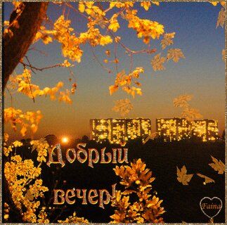 Открытка «Пожелание»: Добрый вечер: «Золотая осень над городом». Тэги: настроение, надпись, осень, дерево, красивый…
