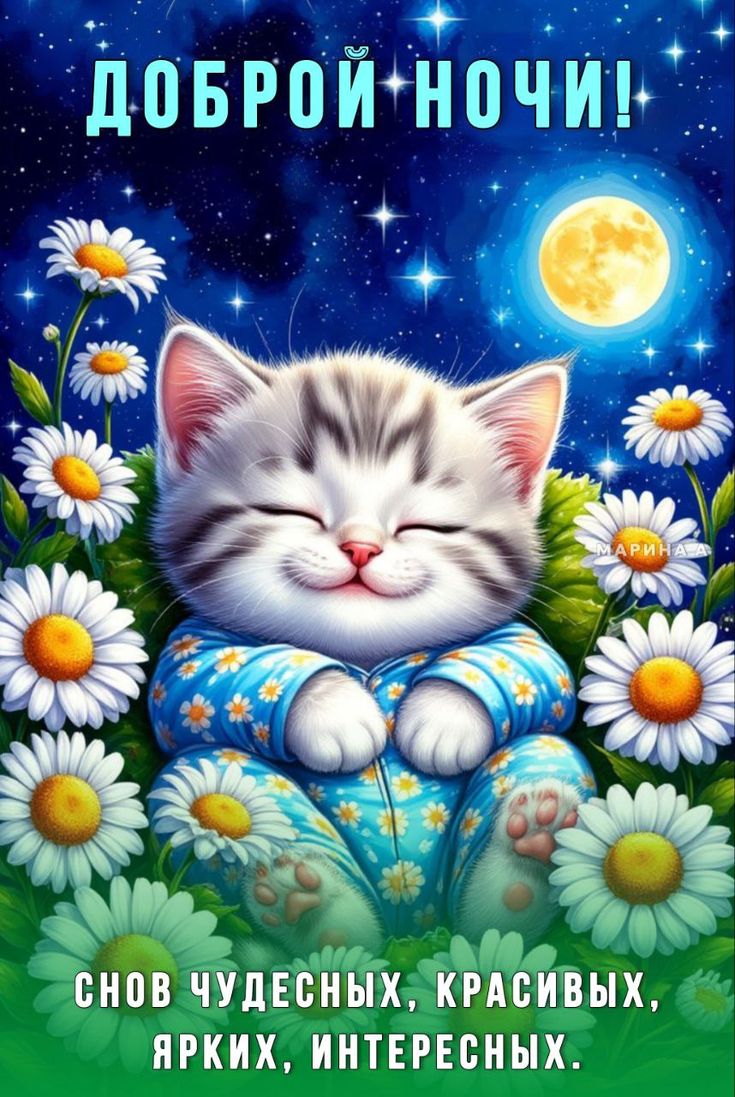 Открытка «Доброй ночи»: Доброй ночи! Милый котенок и цветочные сны.