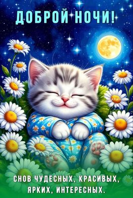 Открытка «Доброй ночи»: Доброй ночи! Милый котенок и цветочные сны.