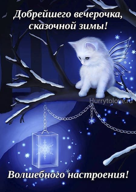 Открытка «Добрый вечер и пожелания»: Добрый вечер: сказочный белый котик зимой. Тэги: Добрый зимний вечер, Добрый поз…