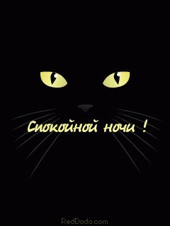 Открытка «Спокойной ночи»: Спокойной ночи: Милые глаза кота в темноте. Тэги: Спокойной ночи, с пожеланиями, Спокойной…