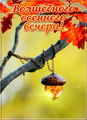 Открытка «Добрый вечер и пожелания»: Добрый вечер: Волшебного осеннего вечера!. Тэги: Добрый вечер красивые, Добрый в…