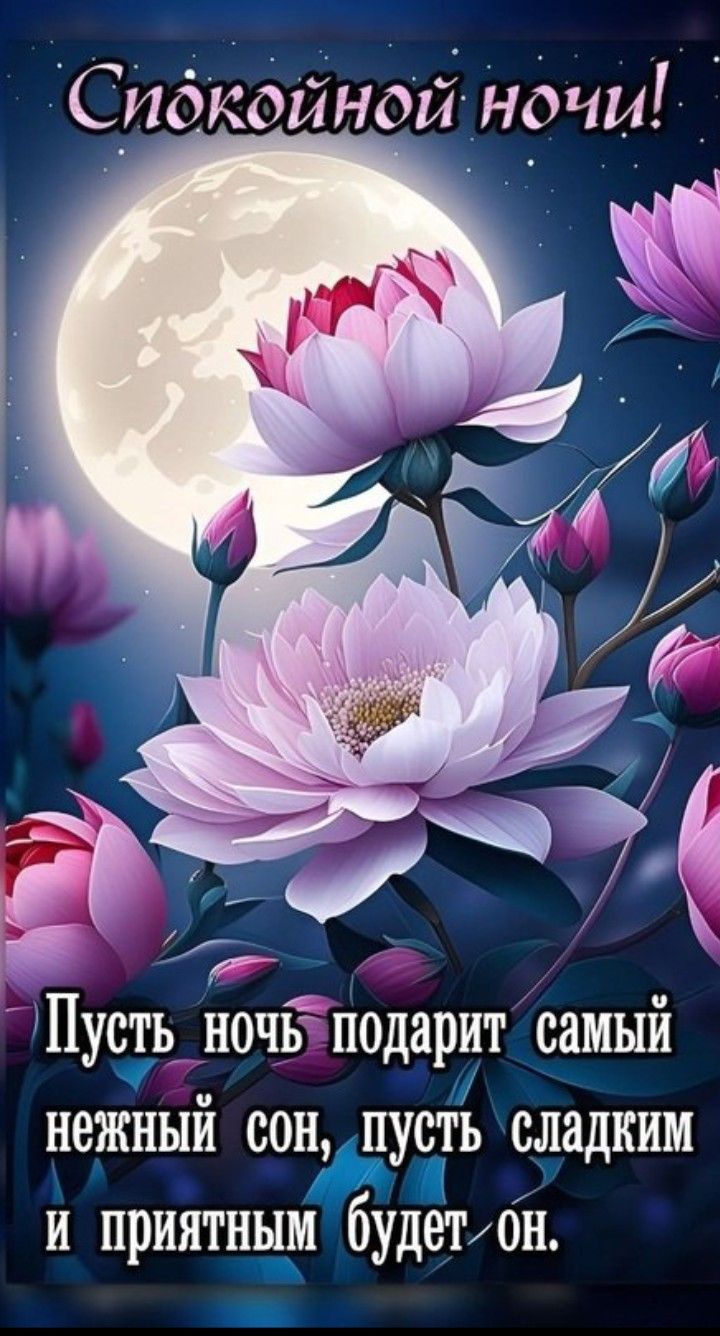 Открытка «Доброй ночи»: Спокойной ночи: Открытка с лотосами под луной. Тэги: Спокойной ночи, Спокойной ночи, с пожела…