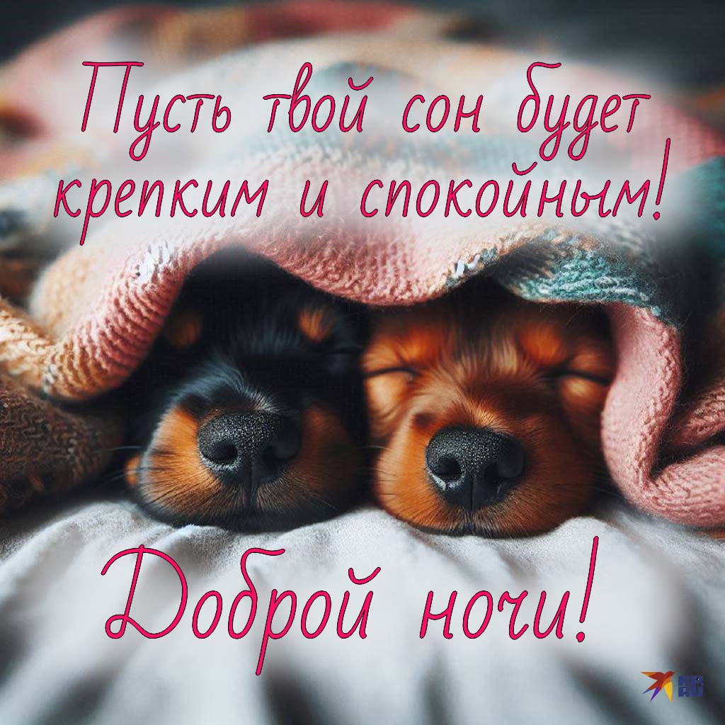 Открытка «Доброй ночи»: Доброй ночи: милые щенки спят под теплым пледом. Тэги: пожелание, милый, животное, теплый…