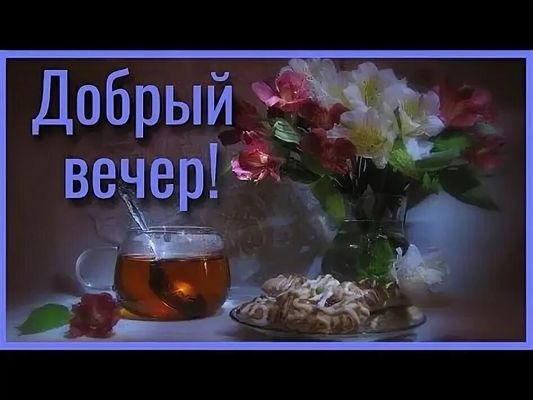 Открытка «Добрый вечер и пожелания»: Добрый вечер: чашка чая, зефир и цветы. Тэги: Добрый вечер красивые, Добрый вечер…