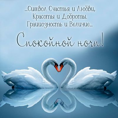 Открытка «Спокойной ночи»: Спокойной ночи: два лебедя в форме сердца. Тэги: Спокойной ночи, красивые, Спокойной ночи…
