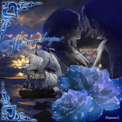 Открытка «Добрый вечер и пожелания»: Нежного вечера: романтическая открытка с голубой розой. Тэги: Добрый вечер краси…