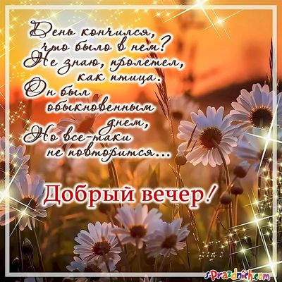 Открытка «Философский»: Добрый вечер: Красивый пейзаж с ромашками и стихотворением. Тэги: Добрый вечер и пожелания…