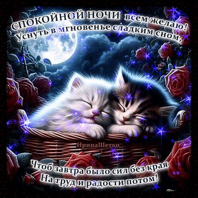 Открытка «Спокойной ночи»: Спокойной ночи: милые котята спят в корзине. Тэги: Спокойной ночи, красивые, Спокойной ночи…