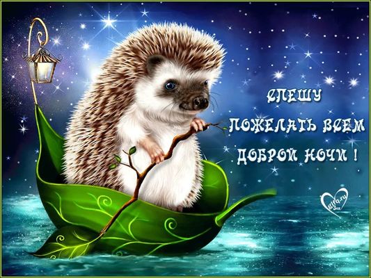 Открытка «Доброй ночи»: Доброй ночи: Сказочный ежик на плавучем листе.