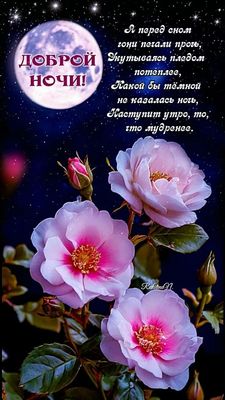 Открытка «Доброй ночи»: Доброй ночи: красивый букет роз.