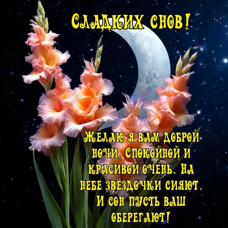 Открытка «Доброй ночи»: Доброй ночи: Пожелание сладких снов с цветами.