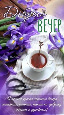 Открытка «Добрый вечер и пожелания»: Добрый вечер: уютная открытка с ирисами и чаем. Тэги: Добрый вечер красивые…