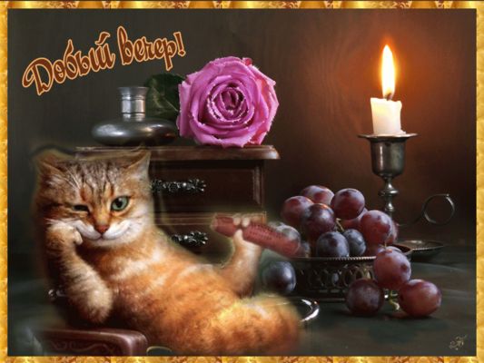 Открытка «Добрый вечер и пожелания»: Добрый вечер: уютный рыжий кот и свечи. Тэги: Добрый вечер красивые, Добыий вечер…