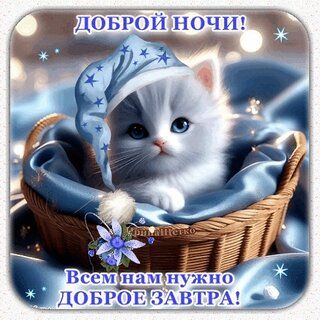 Открытка «С добрым утром»: «Доброй ночи! Милый котенок с пожеланием доброго утра». Тэги: С добрым утром, с котами!…