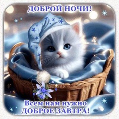 Открытка «С добрым утром»: «Доброй ночи! Милый котенок с пожеланием доброго утра». Тэги: С добрым утром, с котами!…