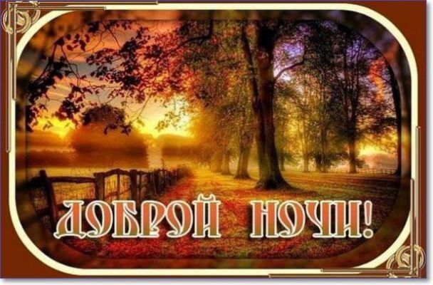 Открытка «Доброй ночи»: Доброй ночи: «Солнечная осень» в лесу.