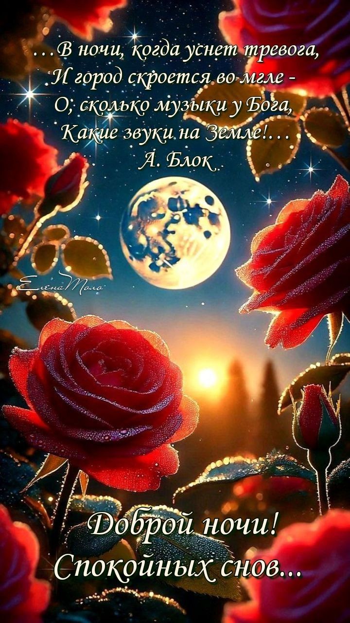 Открытка «Доброй ночи»: Доброй ночи: Красные розы и стихи о музыке.