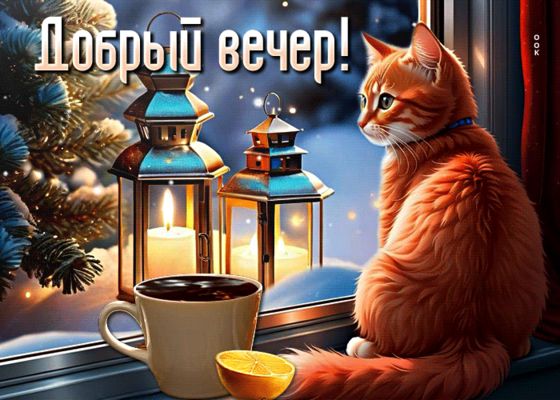 Открытка «Добрый зимний вечер»: Добрый вечер: уютная открытка с котом у окна. Тэги: Добрый вечер красивые, Доброго ве…