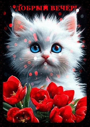 Открытка «Добрый вечер и пожелания»: Добрый вечер: милый котенок с букетом тюльпанов. Тэги: Добрый вечер красивые…