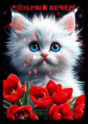 Открытка «Добрый вечер и пожелания»: Добрый вечер: милый котенок с букетом тюльпанов. Тэги: Добрый вечер красивые…