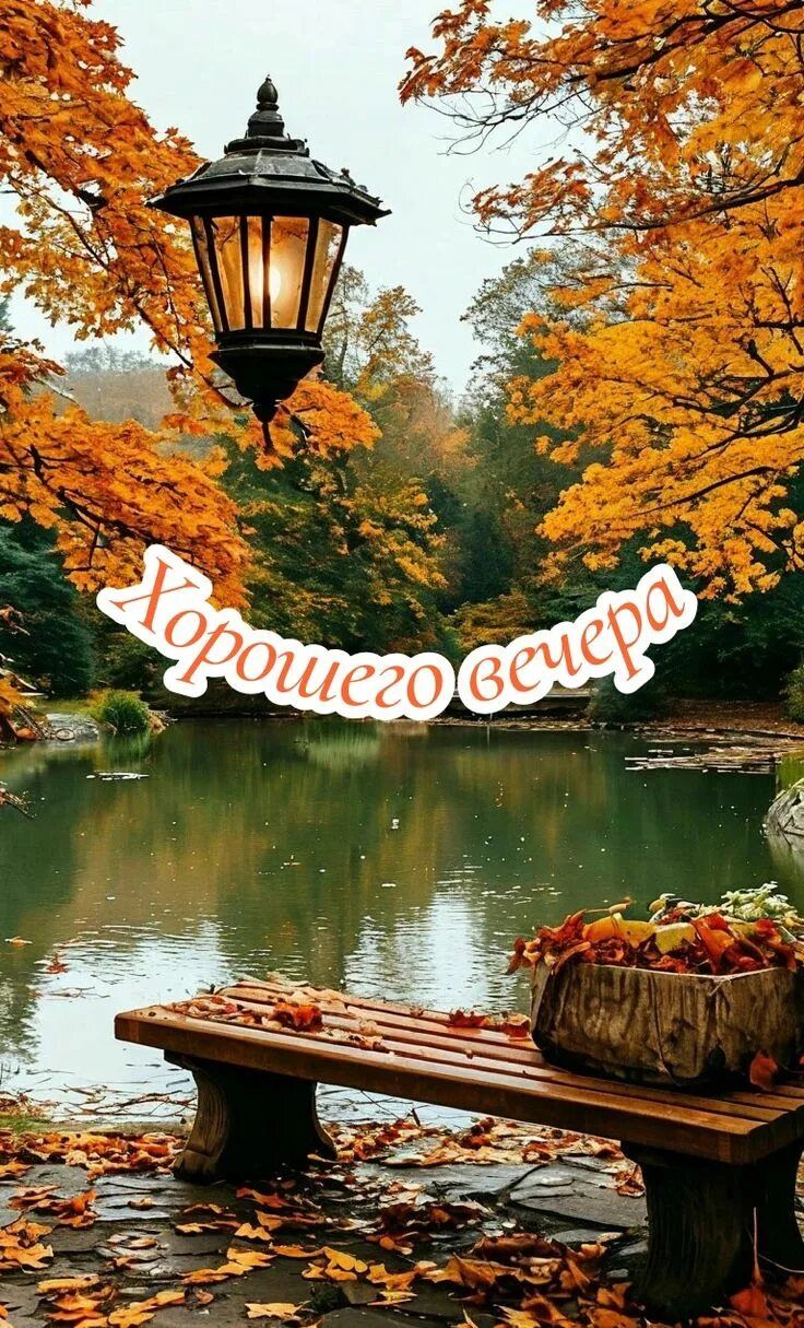 Открытка «Добрый вечер и пожелания»: Вечерняя открытка: Уютная скамейка в золотой осени. Тэги: Добрый вечер красивые…