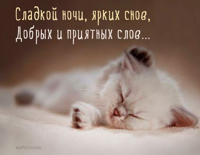 Открытка «Доброй ночи»: Красивая открытка с доброй ночи: Милый спящий котенок. Тэги: кот, милый, добрый, животное…