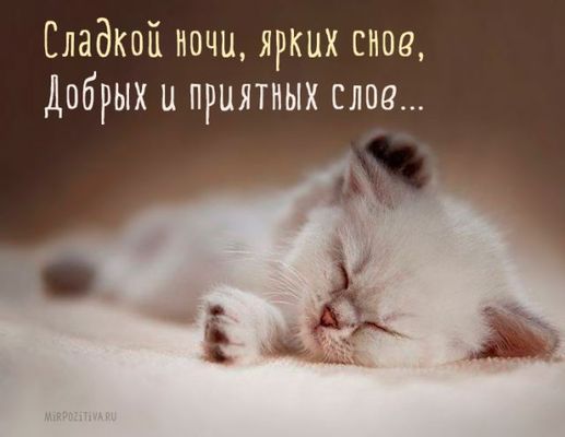 Открытка «Доброй ночи»: Красивая открытка с доброй ночи: Милый спящий котенок. Тэги: слово