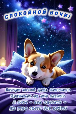 Открытка «Спокойной ночи»: Спокойной ночи: милая собака корги под звездным небом. Тэги: Спокойной ночи, красивые…