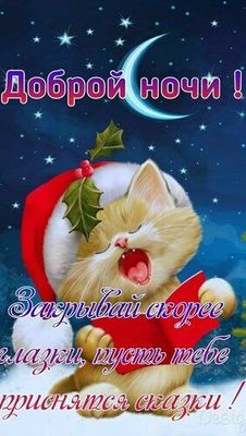 Открытка «Доброй ночи»: Доброй ночи: милая открытка с котенком и пожеланием снов.