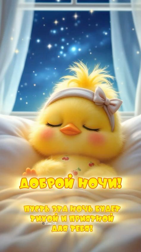 Открытка «Доброй ночи»: Красивые слова доброй ночи с милым цыпленком. Тэги: Добрый вечер и пожелания, Добрый вечер кр…