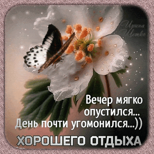 Открытка «Добрый вечер и пожелания»: Открытка с добрым вечером: бабочка на цветке. Тэги: Добыий вечер, гифки, Добрый…