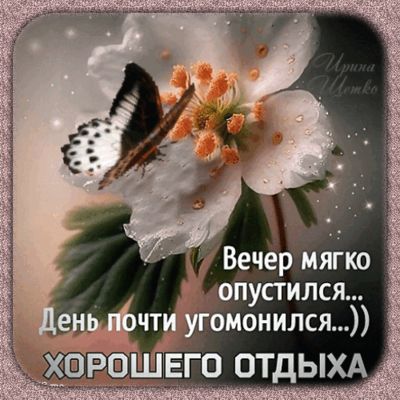 Открытка «Добрый вечер и пожелания»: Открытка с добрым вечером: бабочка на цветке. Тэги: Добыий вечер, гифки, Добрый…