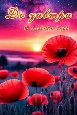 Открытка «Доброй ночи»: Доброй ночи: Нежный закат и красные маки на закате.