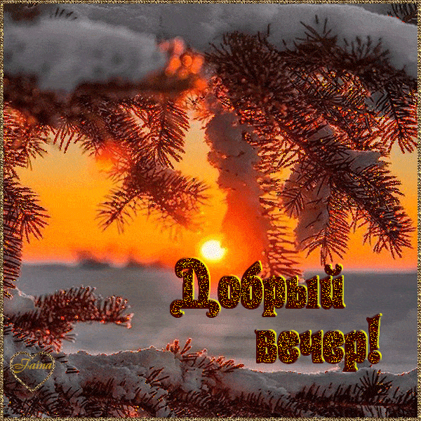 Открытка «Добрый вечер и пожелания»: Добрый вечер: зимний закат и снежные ели. Тэги: Добрый зимний вечер, Добрый вече…