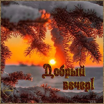 Открытка «Добрый вечер и пожелания»: Добрый вечер: зимний закат и снежные ели. Тэги: Добрый зимний вечер, Добрый вече…