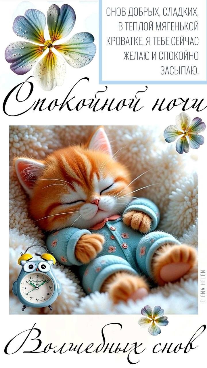 Открытка «Доброй ночи»: Спокойной ночи: милый кот в пижаме спит. Тэги: пожелание, кот, милый, животное, стих, отдых…