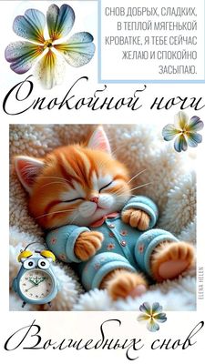 Открытка «Доброй ночи»: Спокойной ночи: милый кот в пижаме спит.