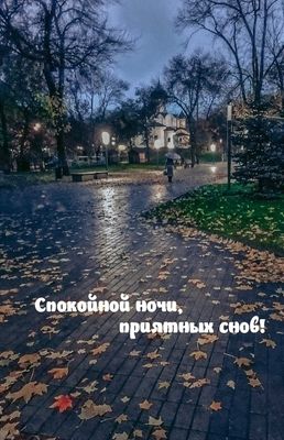 Открытка «Спокойной ночи»: Спокойной ночи: Осенний парк с фонарями. Тэги: Спокойной ночи, красивые, Спокойной ночи…