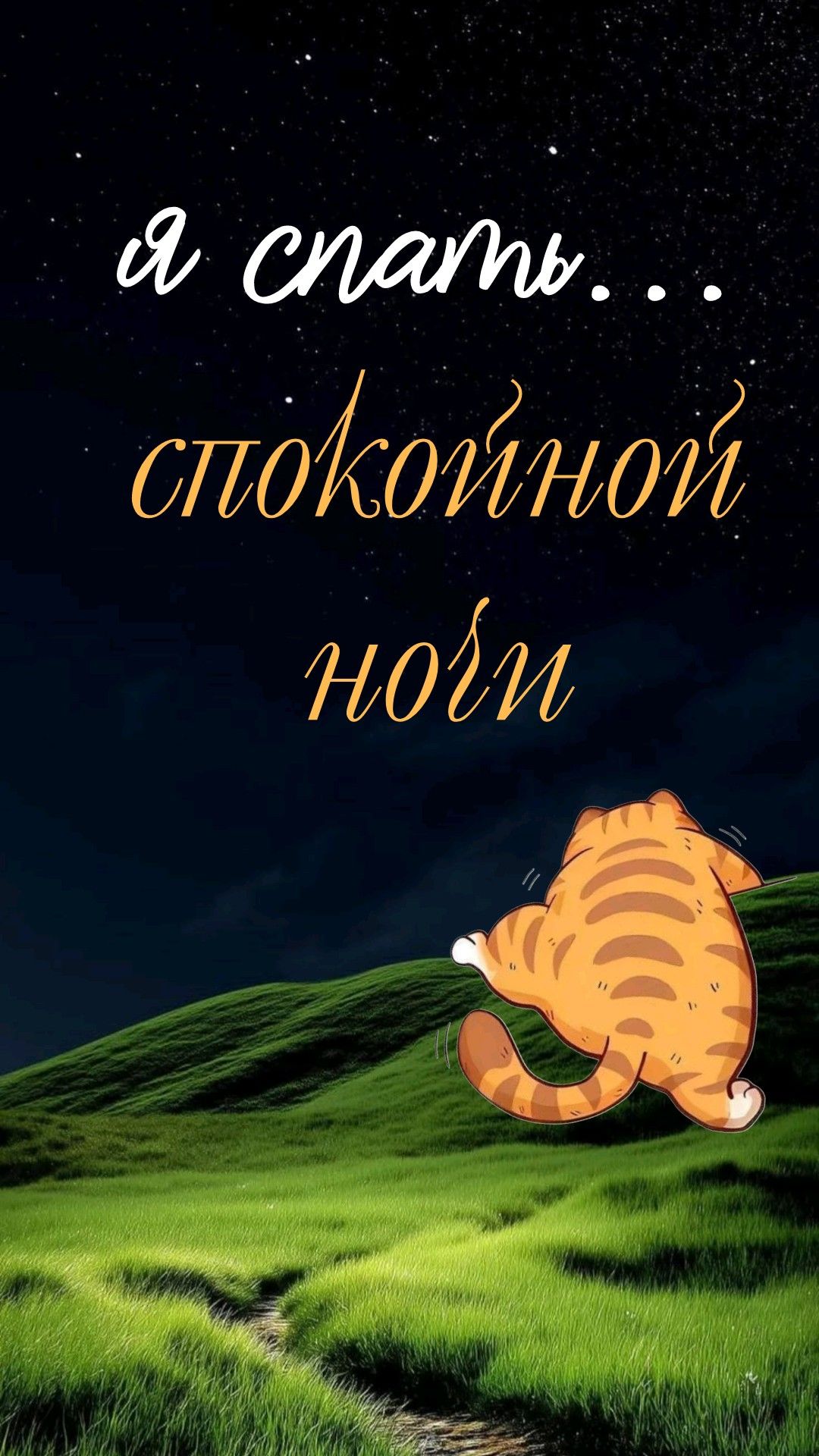 Открытка «Спокойной ночи»: Спокойной ночи: «Милый кот» на фоне звездного неба. Тэги: пожелание, забавный, кот, милый…