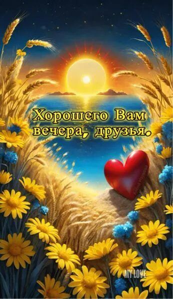 Открытка «Добрый вечер и пожелания»: Добрый вечер: летнее пожелание с колосьями и сердцем. Тэги: Добрый вечер красивые…