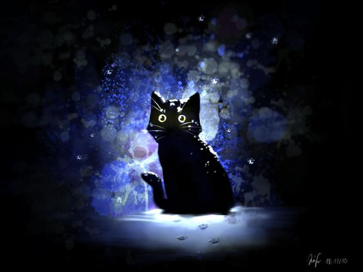 Открытка «Для поднятия настроения»: Добрый вечер: «Магический черный кот» со звездами. Тэги: Добрый вечер и пожелания…