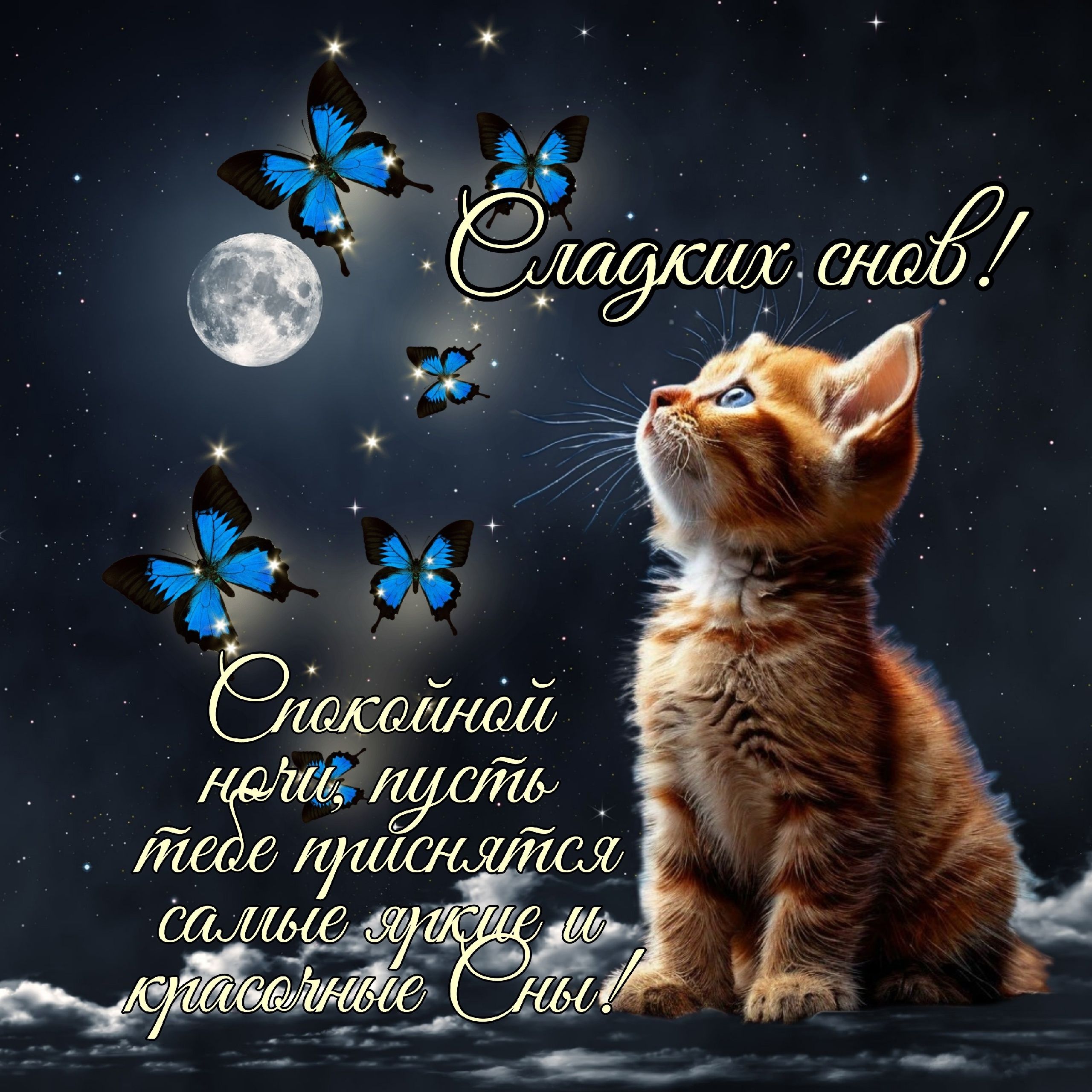 Открытка «Доброй ночи»: Доброй ночи: милая открытка с котенком и бабочками.