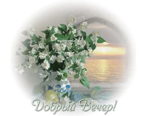Открытка «Для поднятия настроения»: Добрый вечер: прекрасный букет цветов на фоне моря. Тэги: Добрый вечер и пожелания…