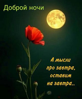 Открытка «Доброй ночи»: Доброй ночи: Пожелание с луной и маками.