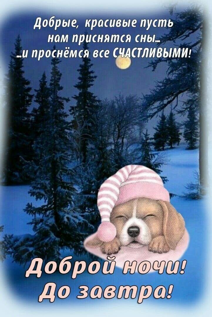 Открытка «Доброй ночи»: Доброй ночи: милая собачка в шапке в зимнем лесу.