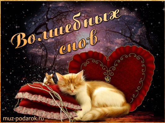 Открытка «Доброй ночи»: Доброй ночи: Рыжий кот на подушке с сердцем.