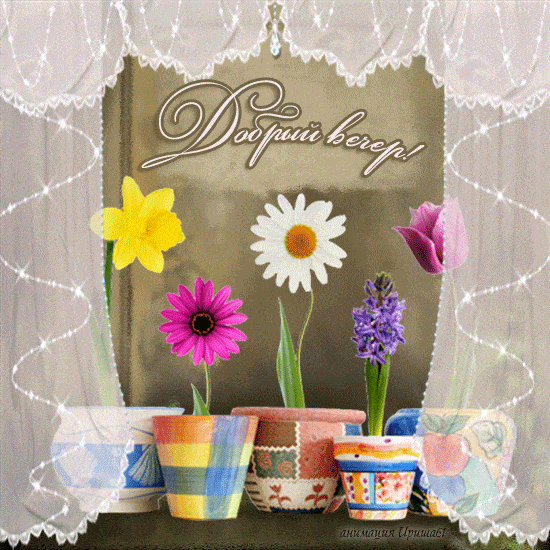 Открытка «Пожелание»: Добрый вечер: «Цветы в горшочках» за узорными шторами. Тэги: настроение, рисунок, милый, чай…