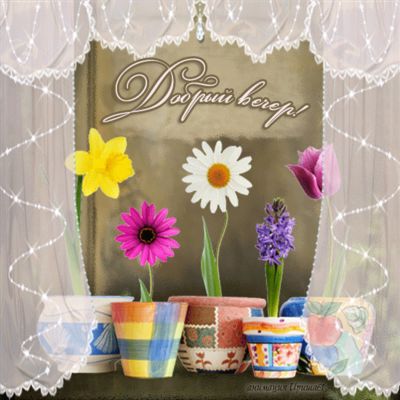 Открытка «Добрый вечер и пожелания»: Добрый вечер: «Цветы в горшочках» за узорными шторами. Тэги: Добрый вечер красив…